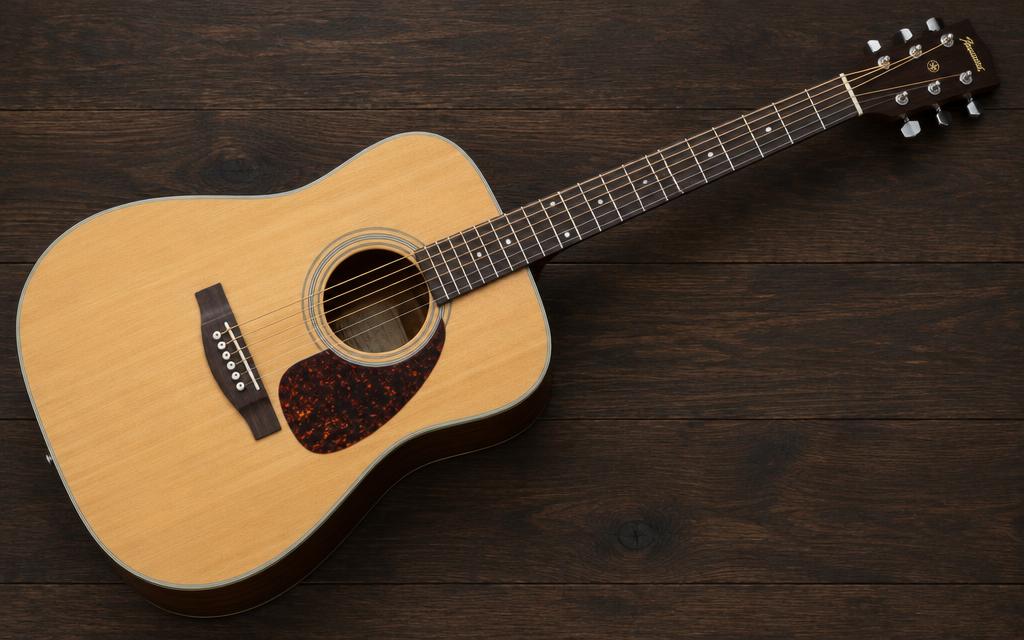 Parts of the Guitar diagram